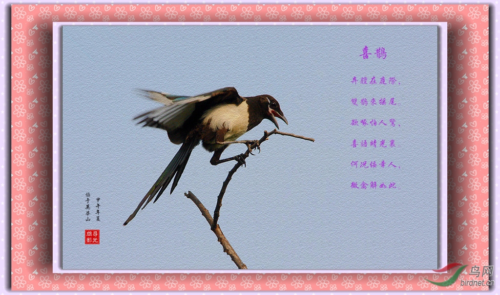 喜鹊登枝曲谱_喜鹊登枝图片