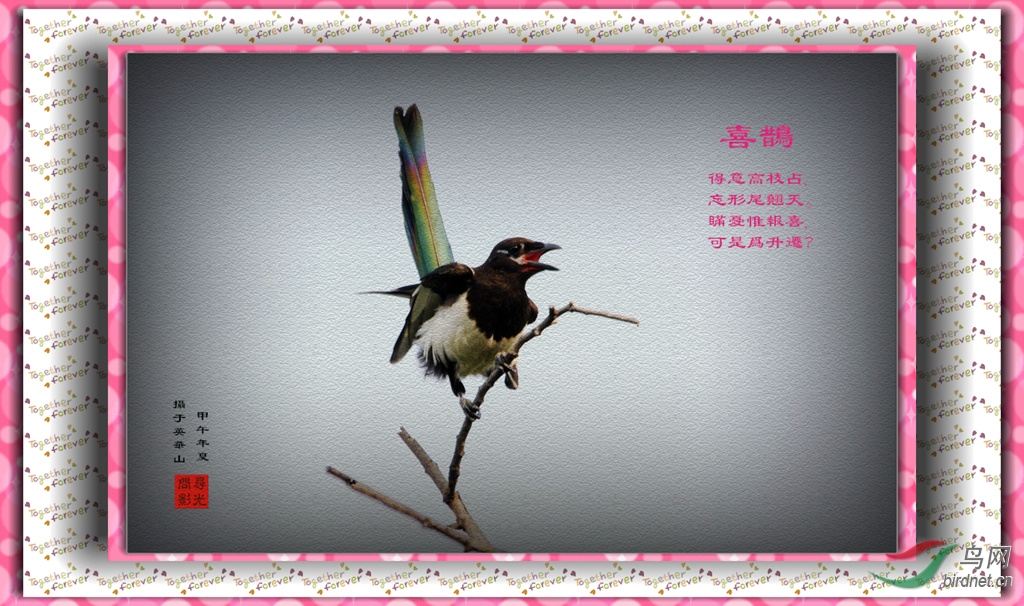 喜鹊登枝曲谱_喜鹊登枝图片