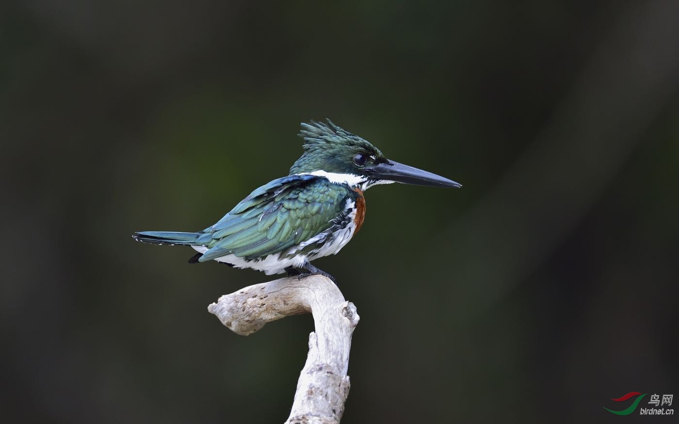 DSC_8120.jpg