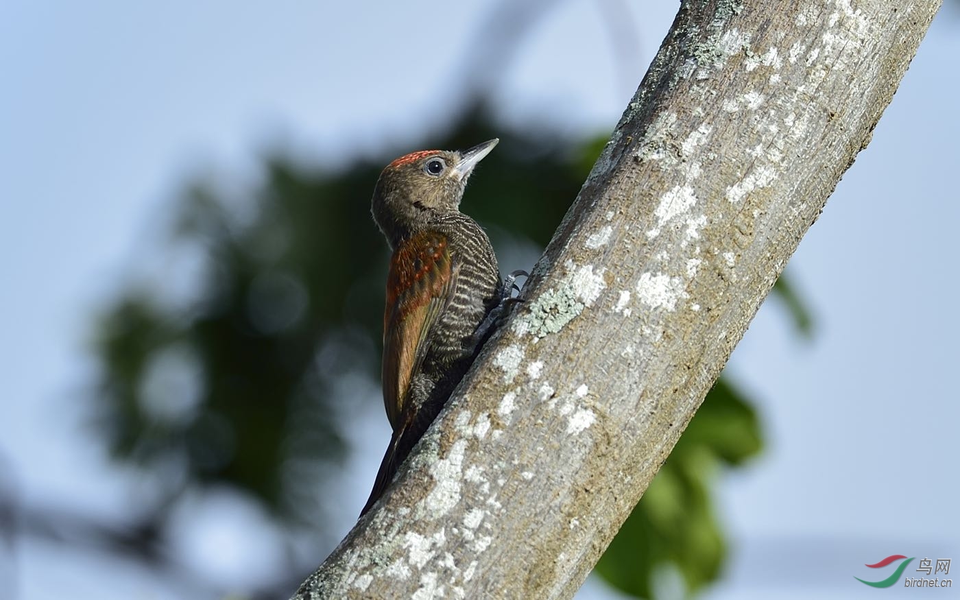 DSC_3176.jpg