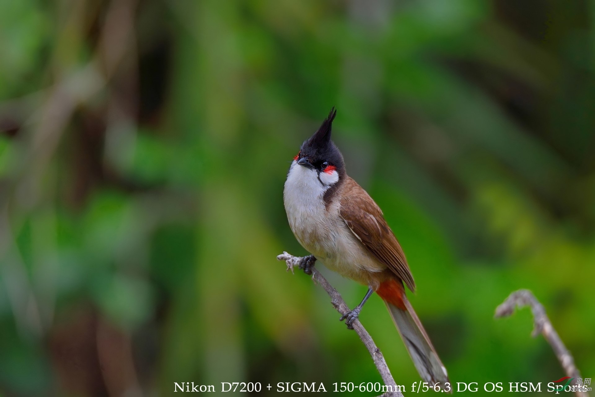 DSC_2301.jpg