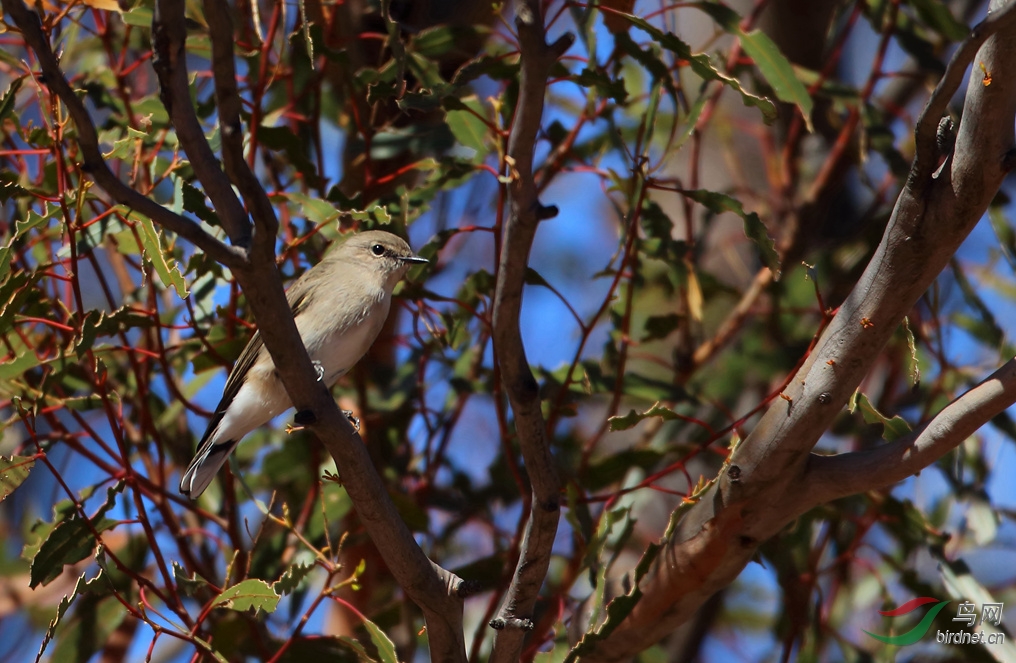 Y-jacky winter1_����_���˺�_����.jpg