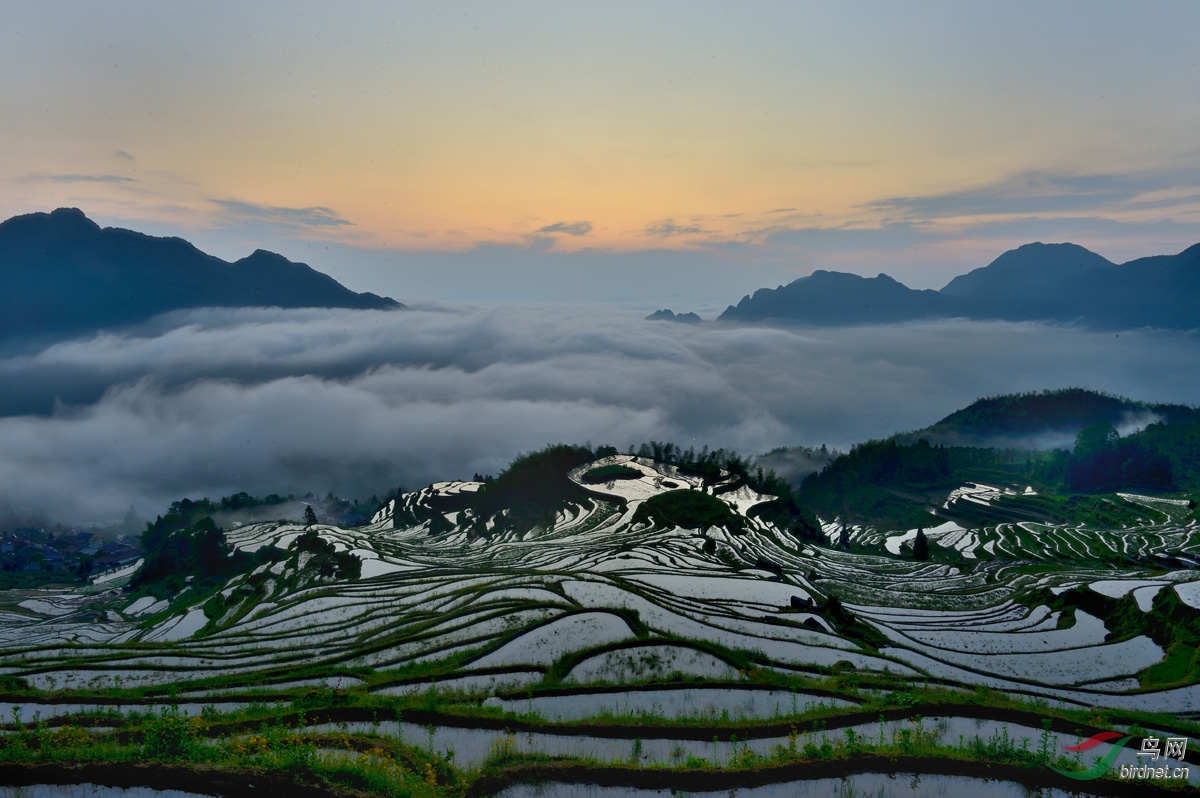 云和梯田
