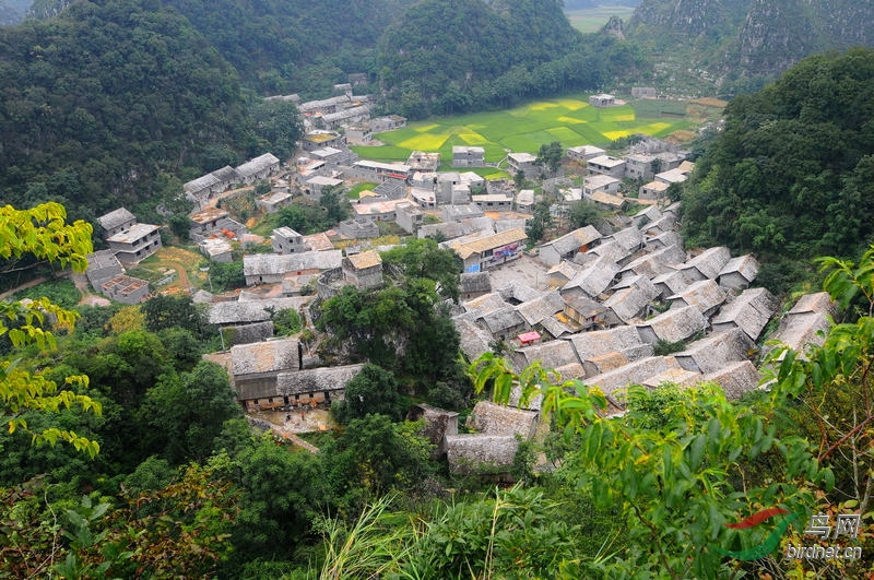 石头寨景区镇宁图片