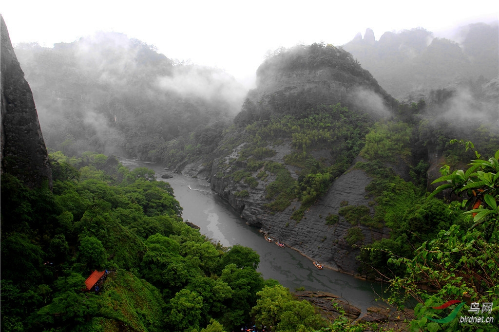 烟雨潇潇武夷山
