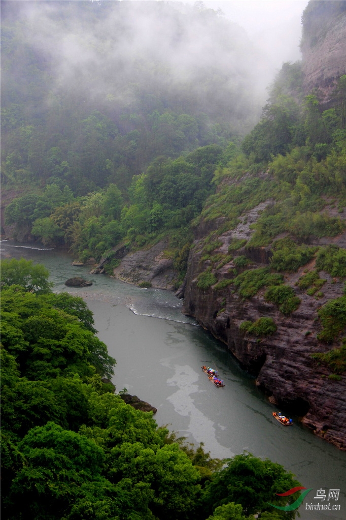 烟雨潇潇武夷山