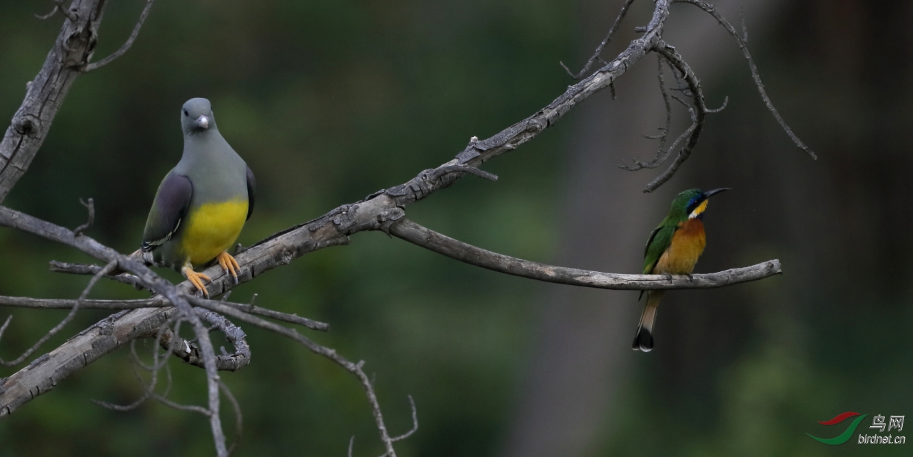 鸡犬之声相闻 老死不相往来