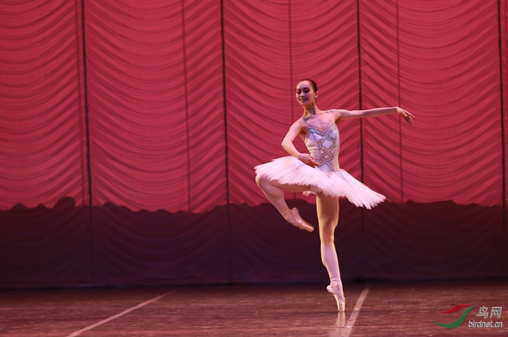 上海芭蕾舞团舞台演示