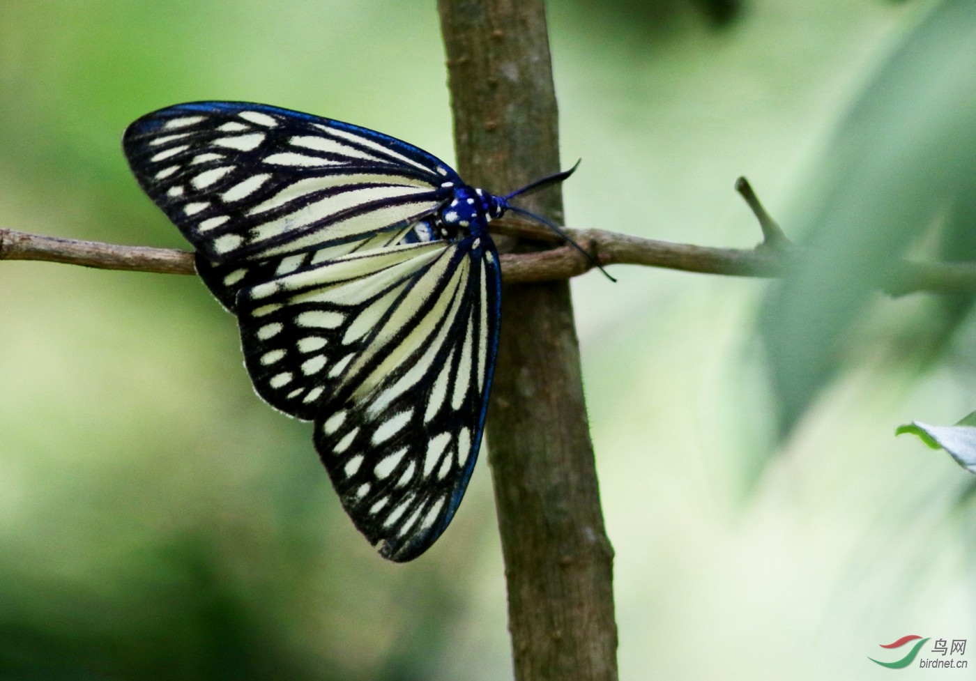 192A7902y.JPG