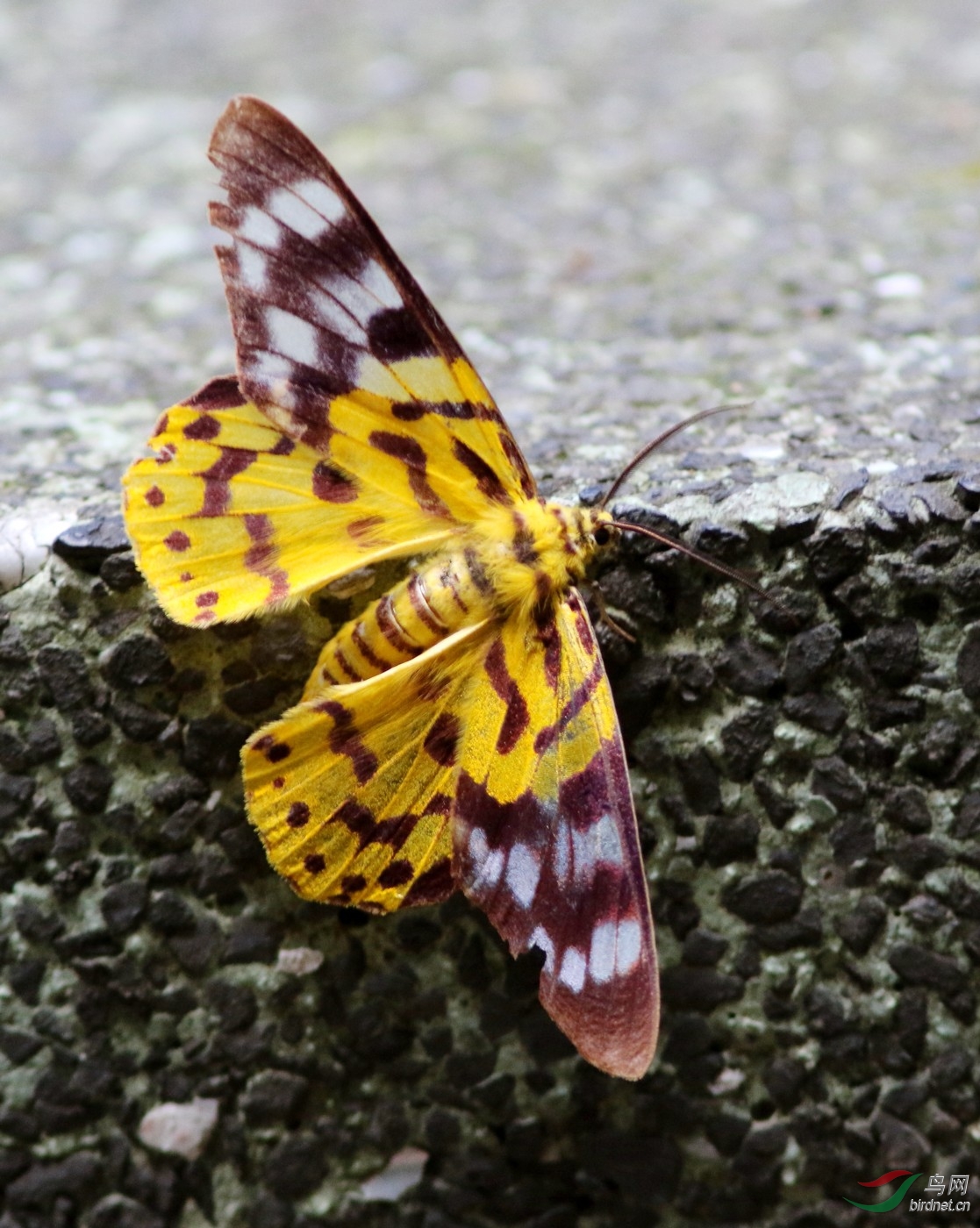 192A8000y.JPG