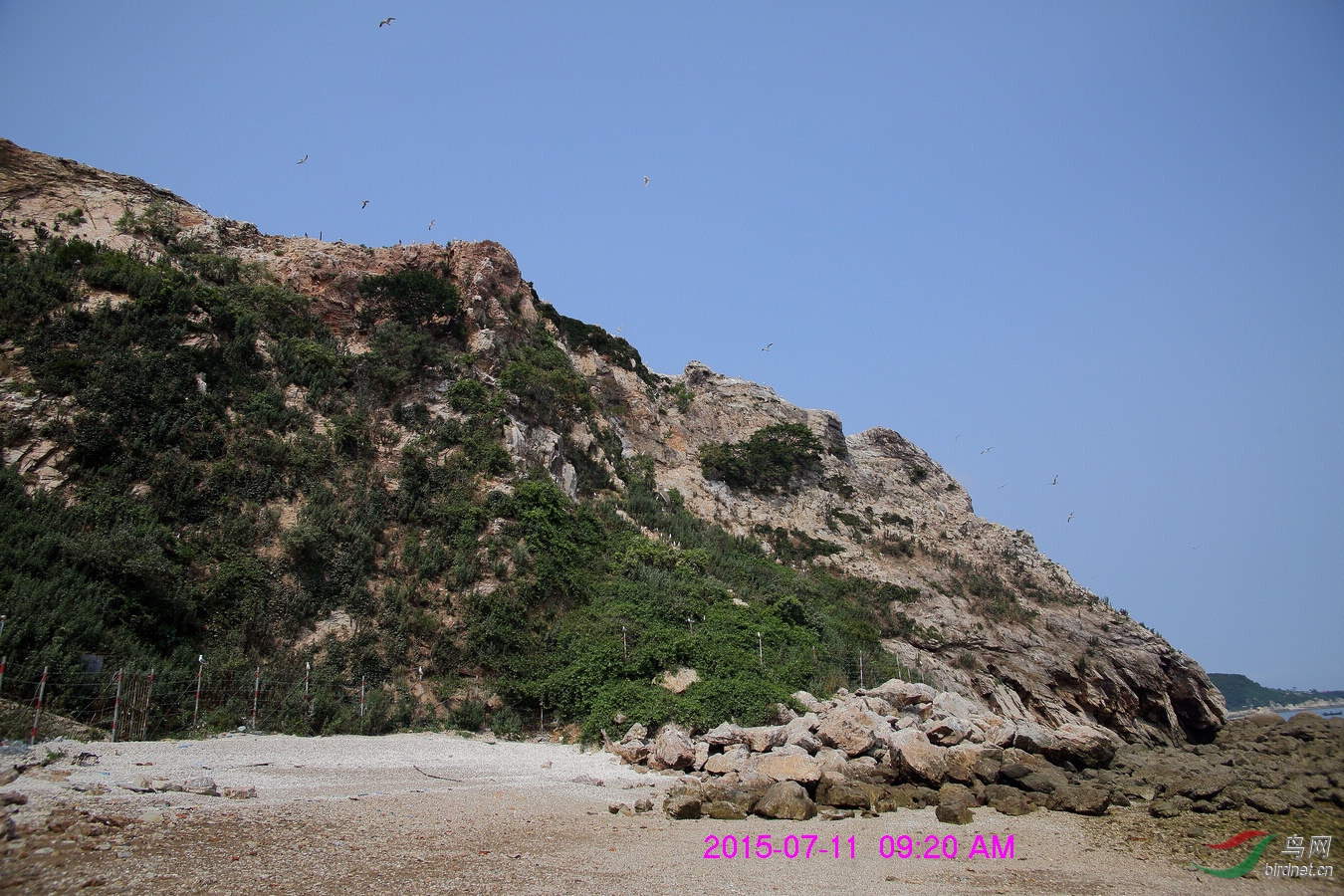 nEO_IMG__L3A1688.jpg