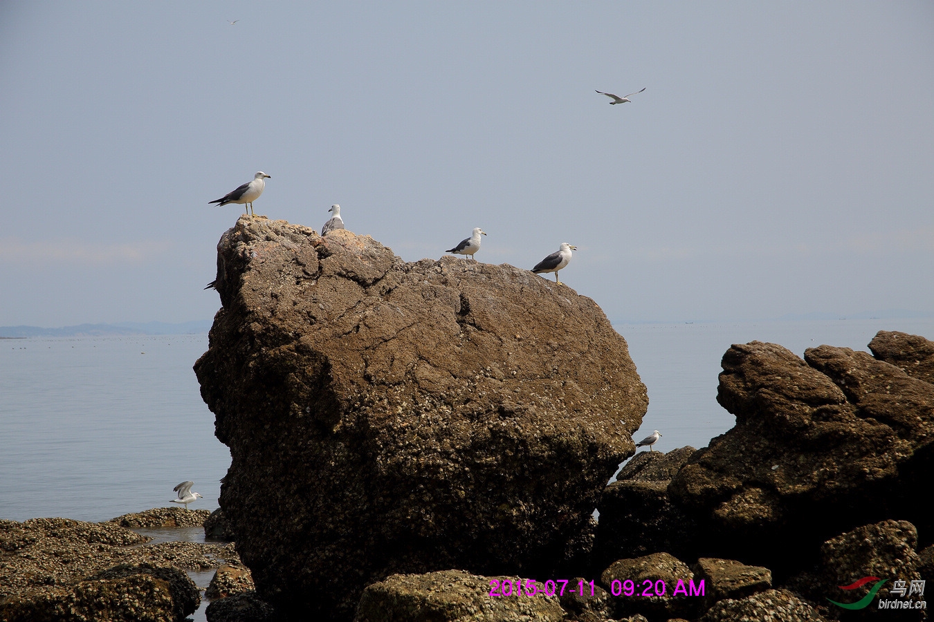 nEO_IMG__L3A1689.jpg