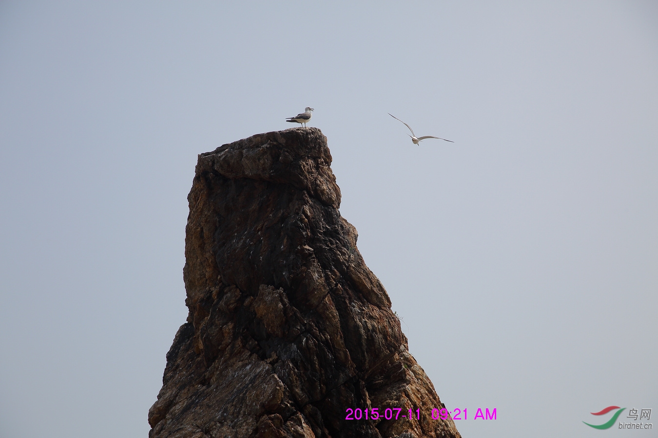 nEO_IMG__L3A1690.jpg