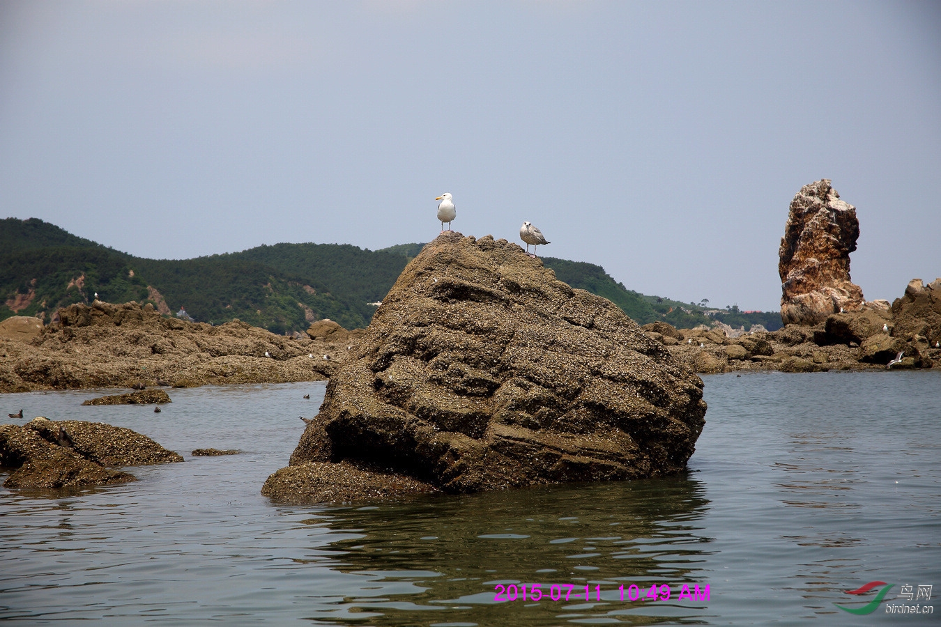 nEO_IMG__L3A1909.jpg