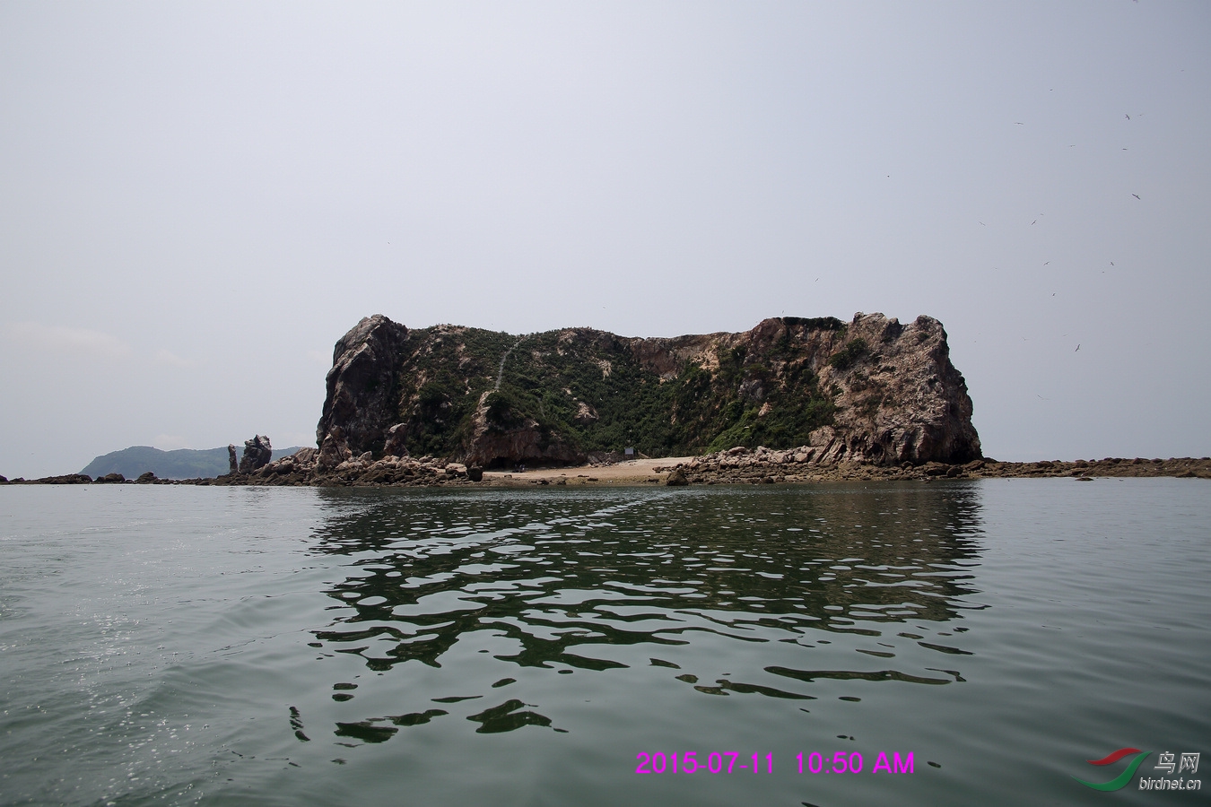 nEO_IMG__L3A1918.jpg