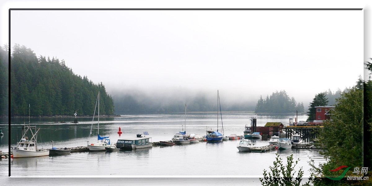 Tofino020907 415t_1e_1.JPG