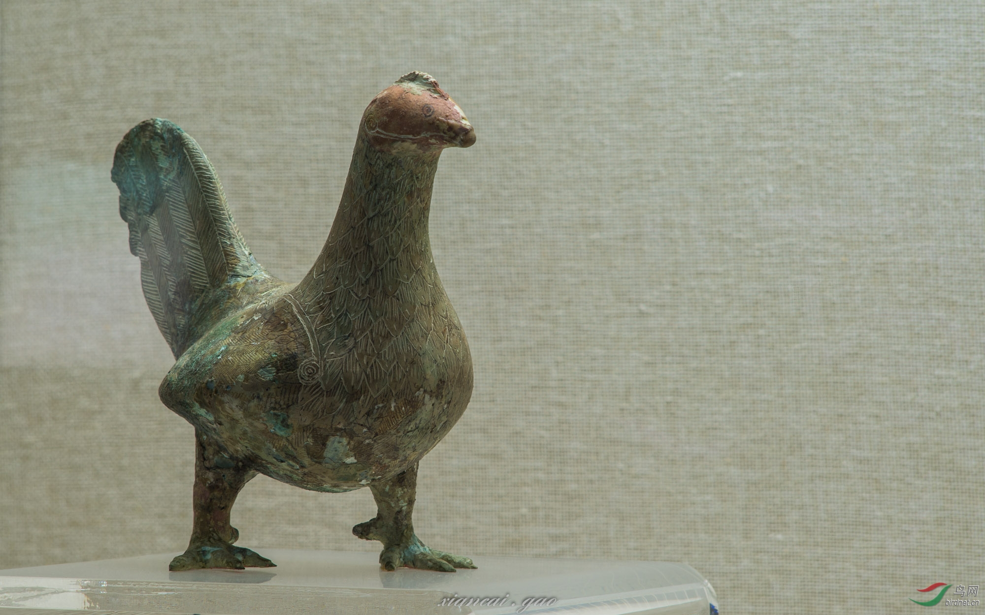 博物馆里的铜鸟