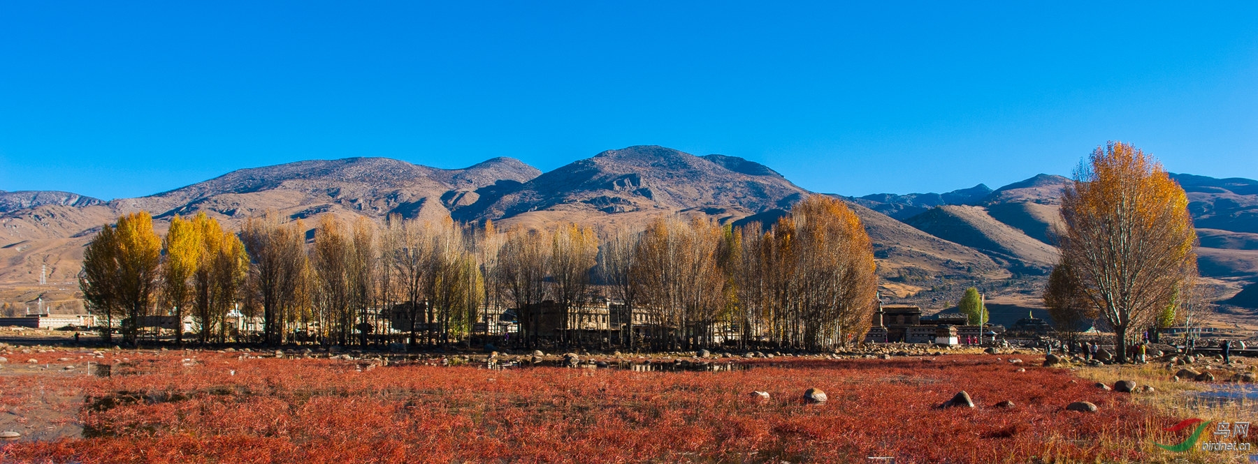 夏日送清凉------新都桥稻城亚丁风景片