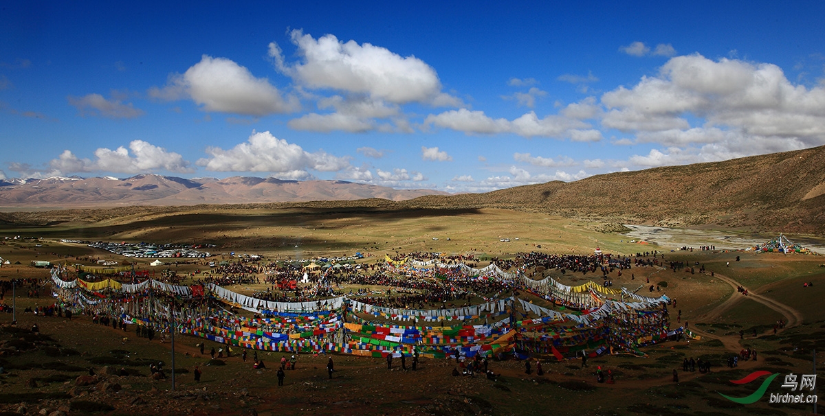阿里冈仁波齐神山下的萨嘎达瓦节——贺耳陶老师阿里拍片.xi