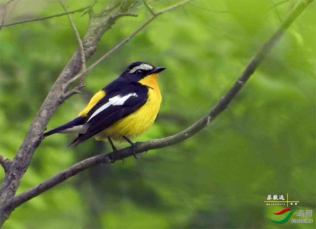 145505gxxfv64xjvk4ofkx2 ����.jpg