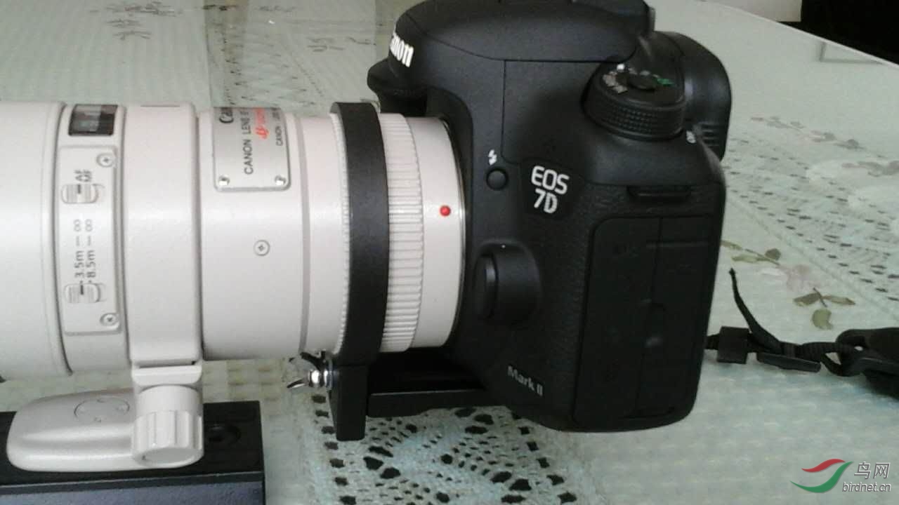 mmexport1437115835547.jpg