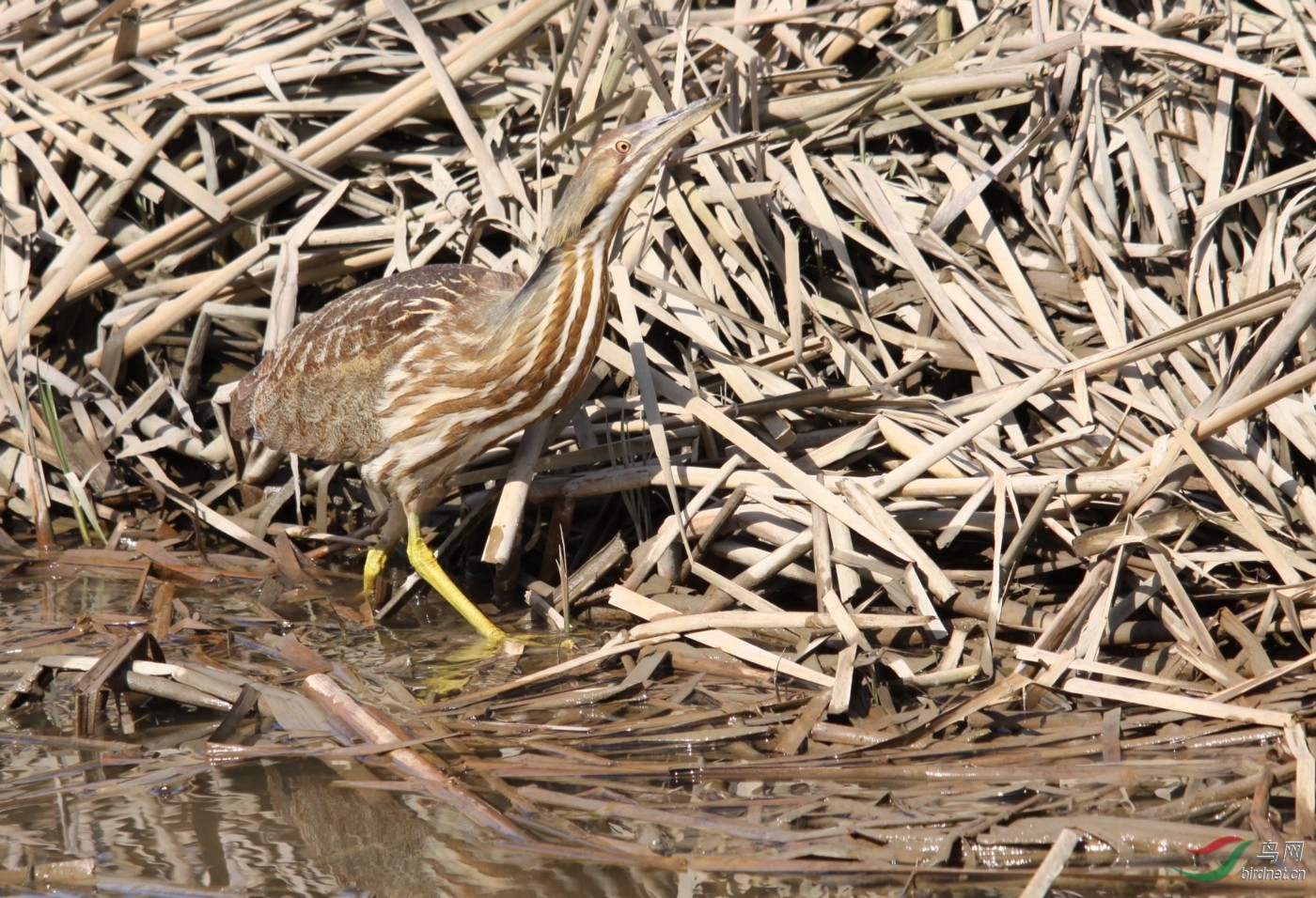 QERhd250409 047y.JPG