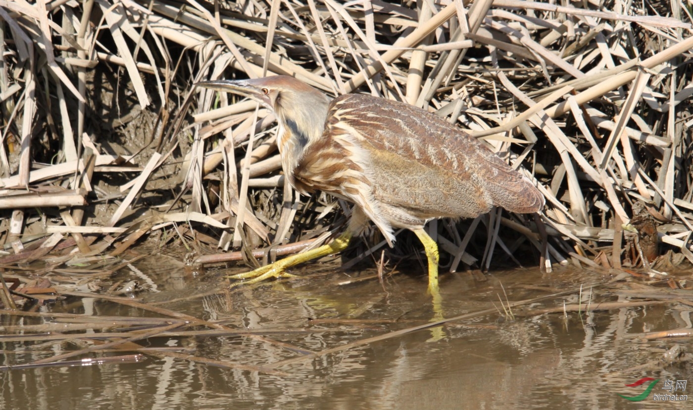 QERhd250409 101y.JPG