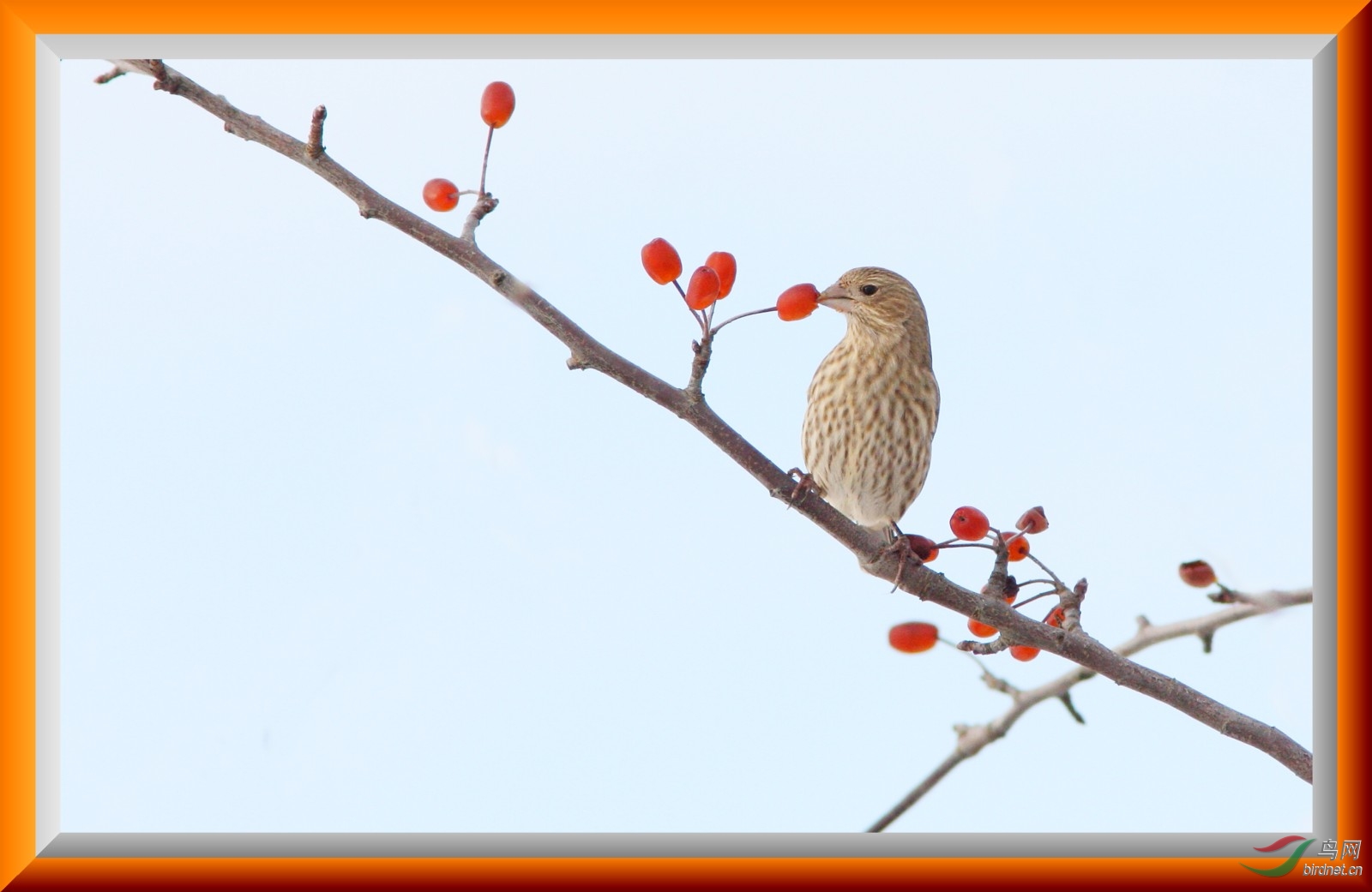 Richmd181208 169_1.jpg