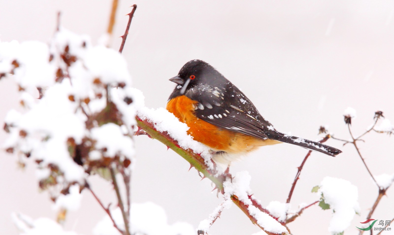 Jericho030109 031y.JPG