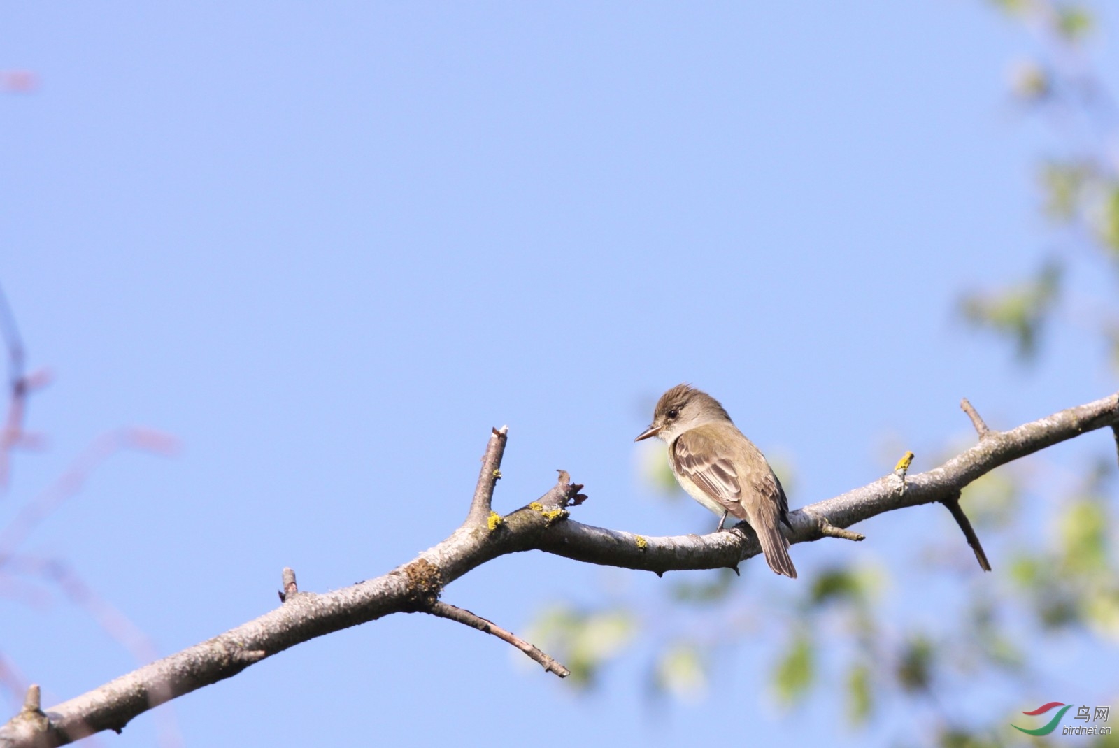 Richmd260509 314.jpg