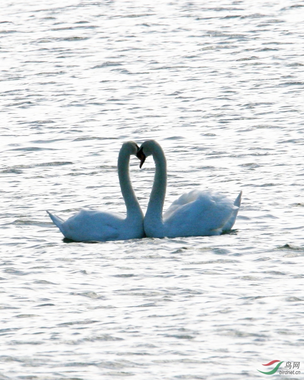 RSouth220906 100t_1.jpg