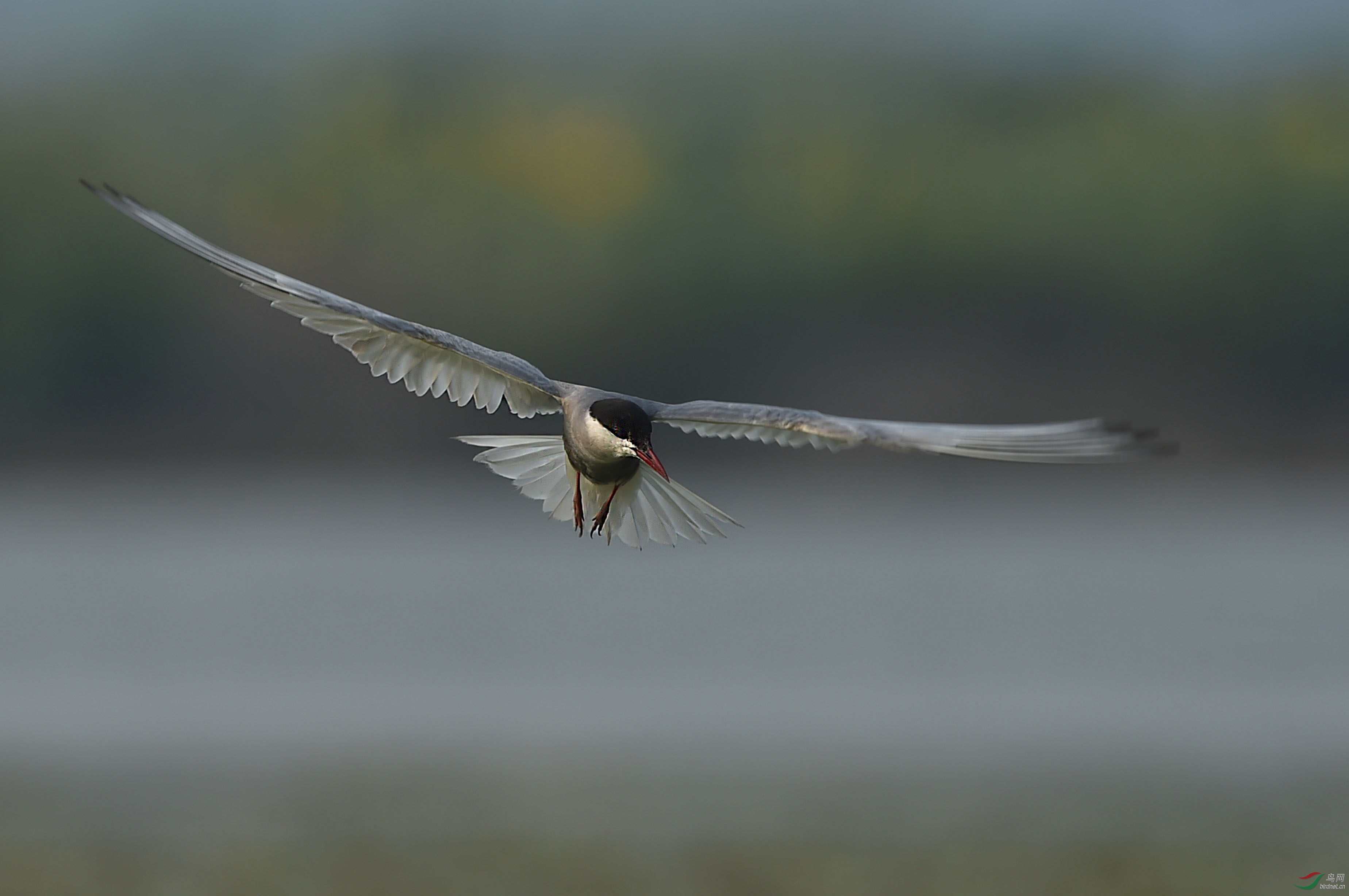在空中寻找目标