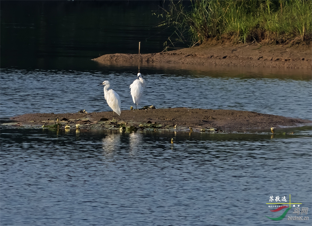 DSCF0103СС.jpg