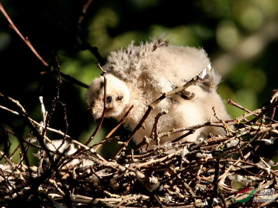 QEP17070808 022t.jpg