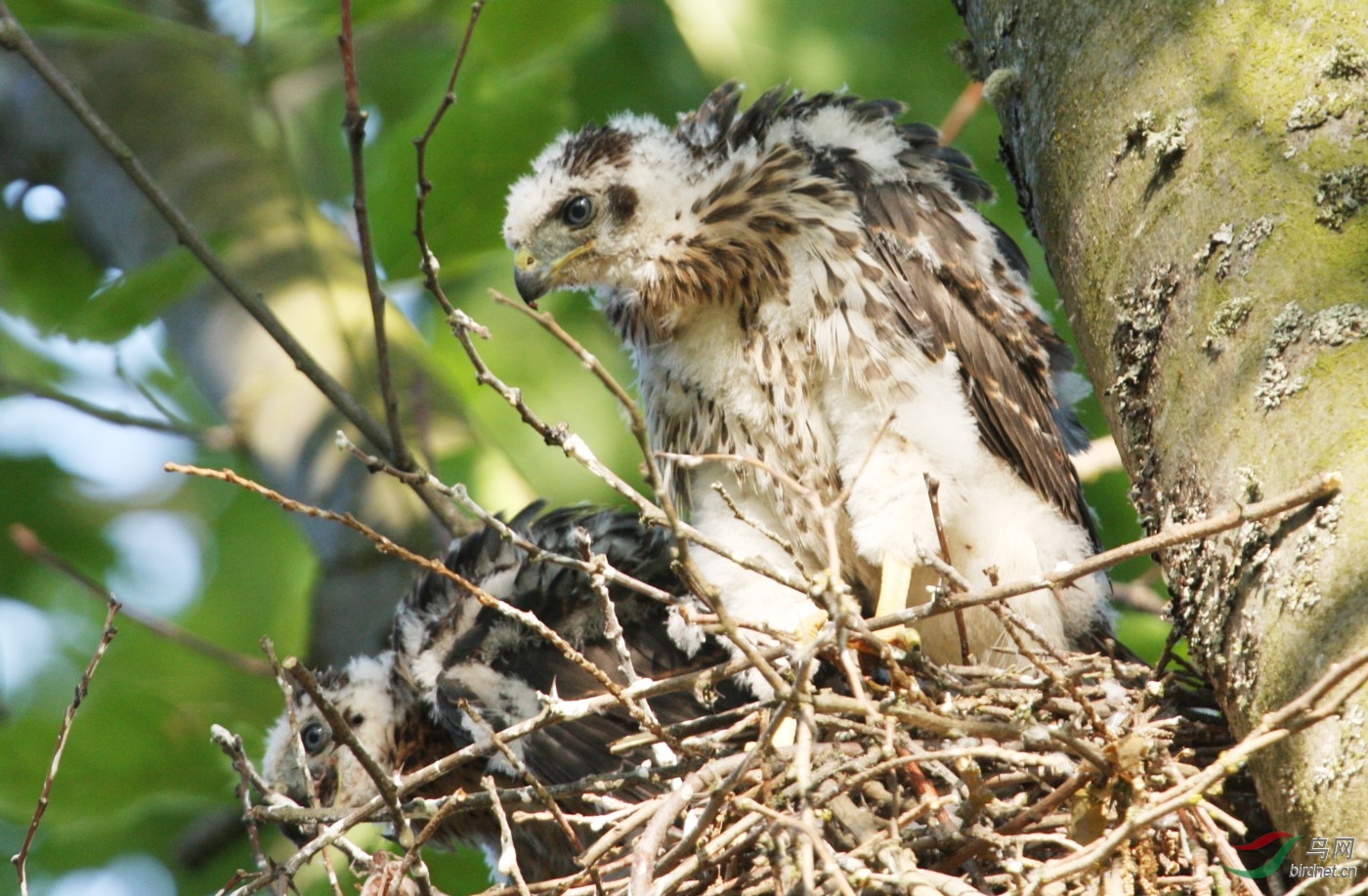 QEP260708(2) 245y.JPG