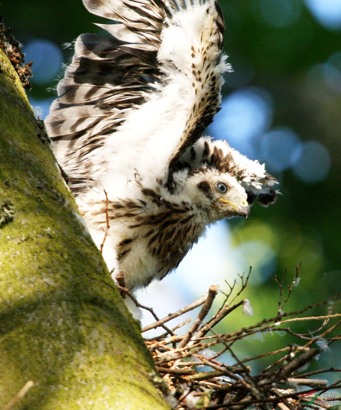 QEP260708(2) 376t.jpg