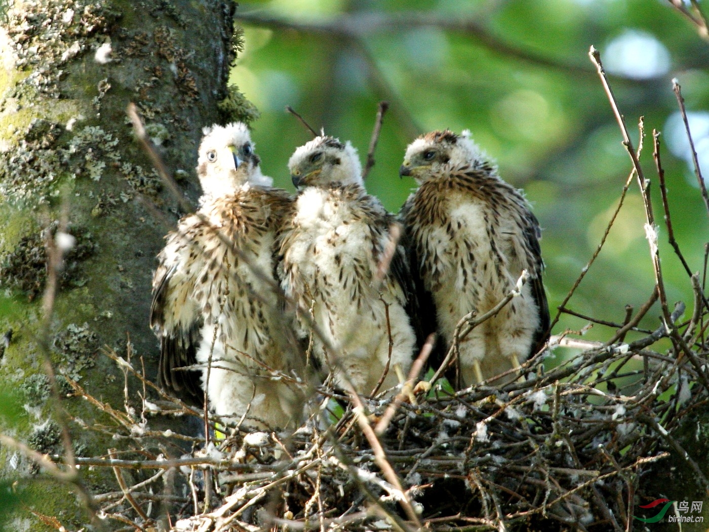 QEP260708(2) 428t.jpg