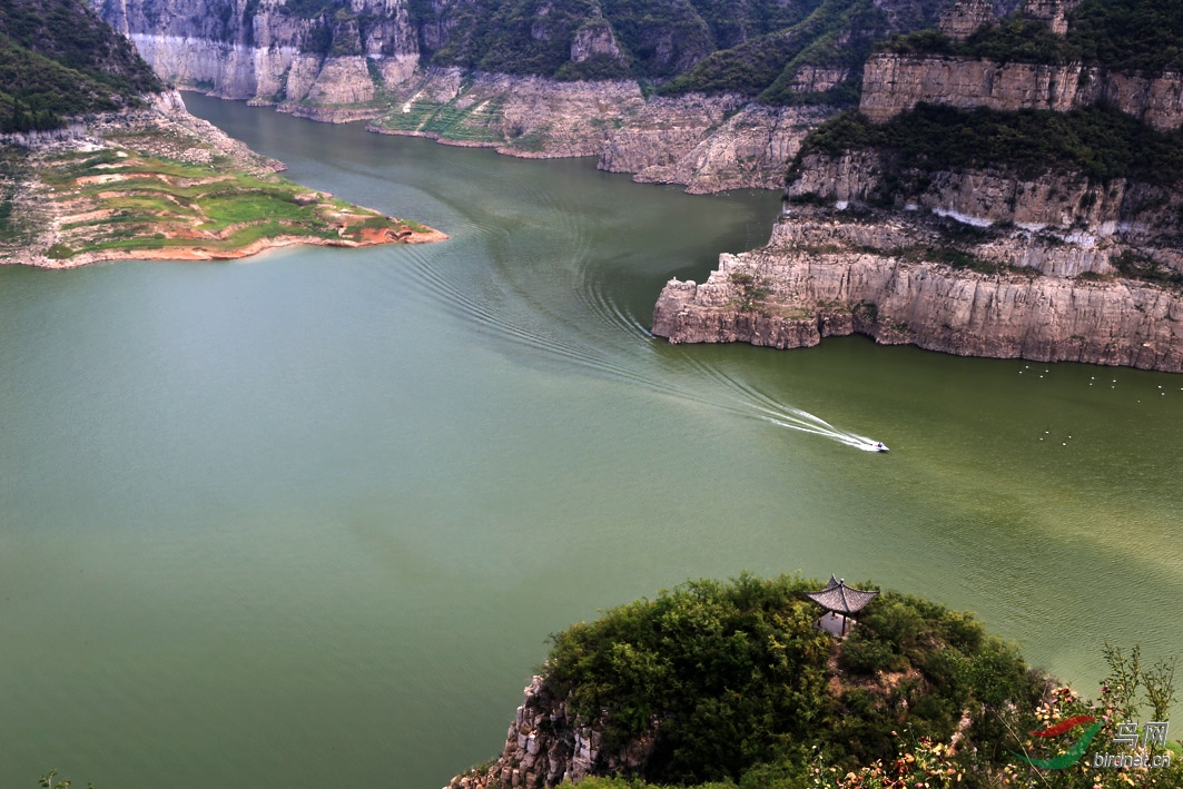 黄河三峡