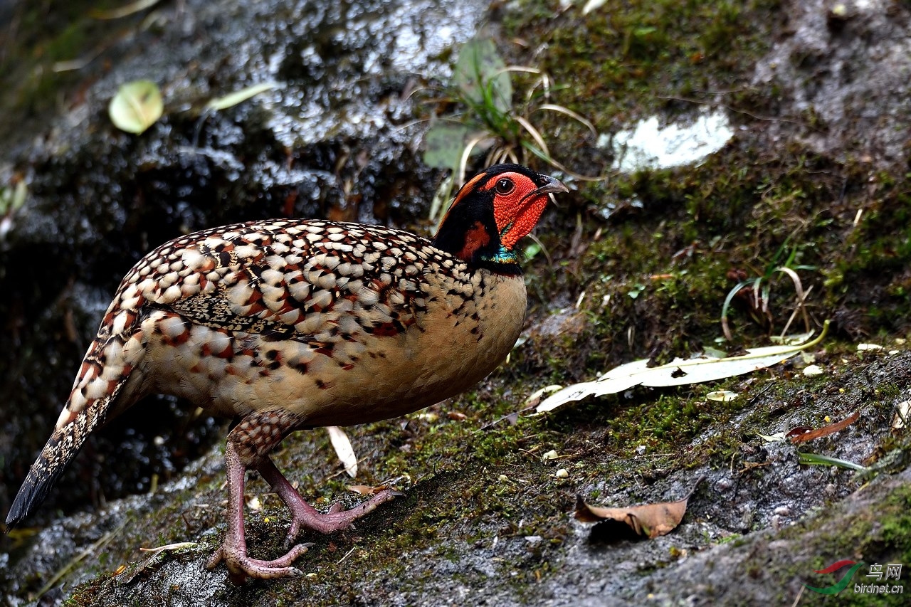 DSC_2855.jpg