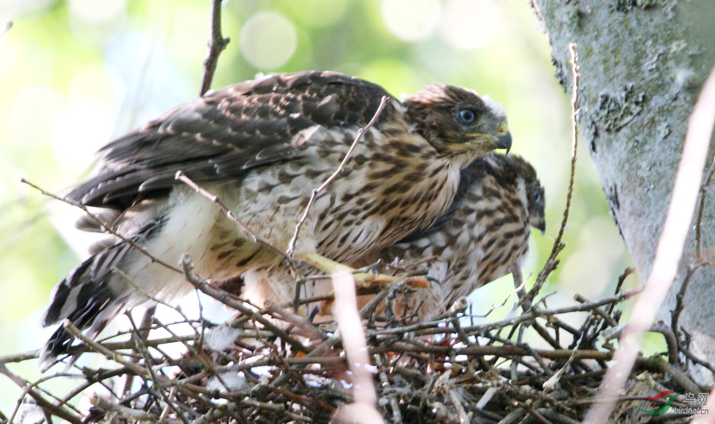 QEPark030808 153t.jpg