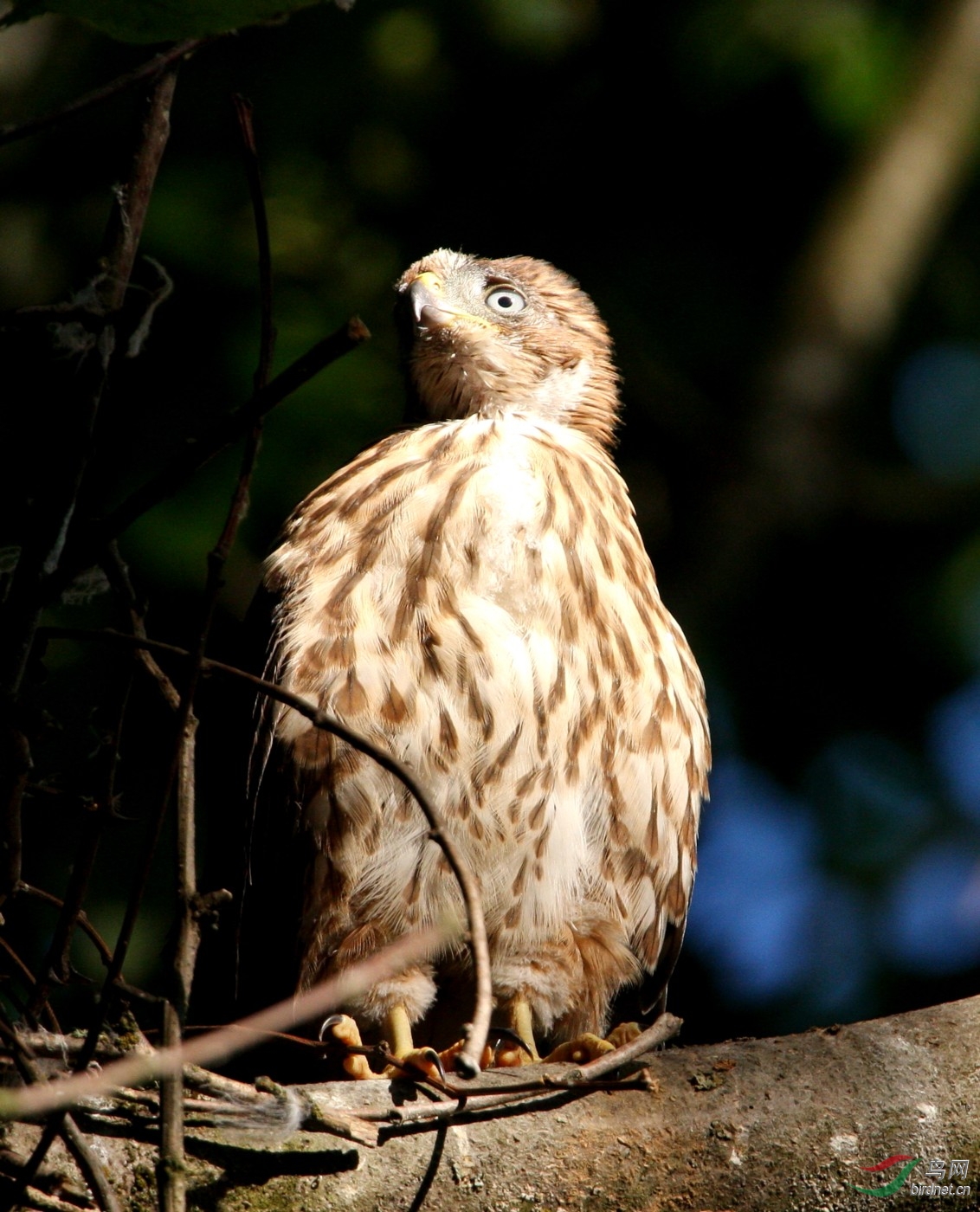 QEPark050808 245.jpg