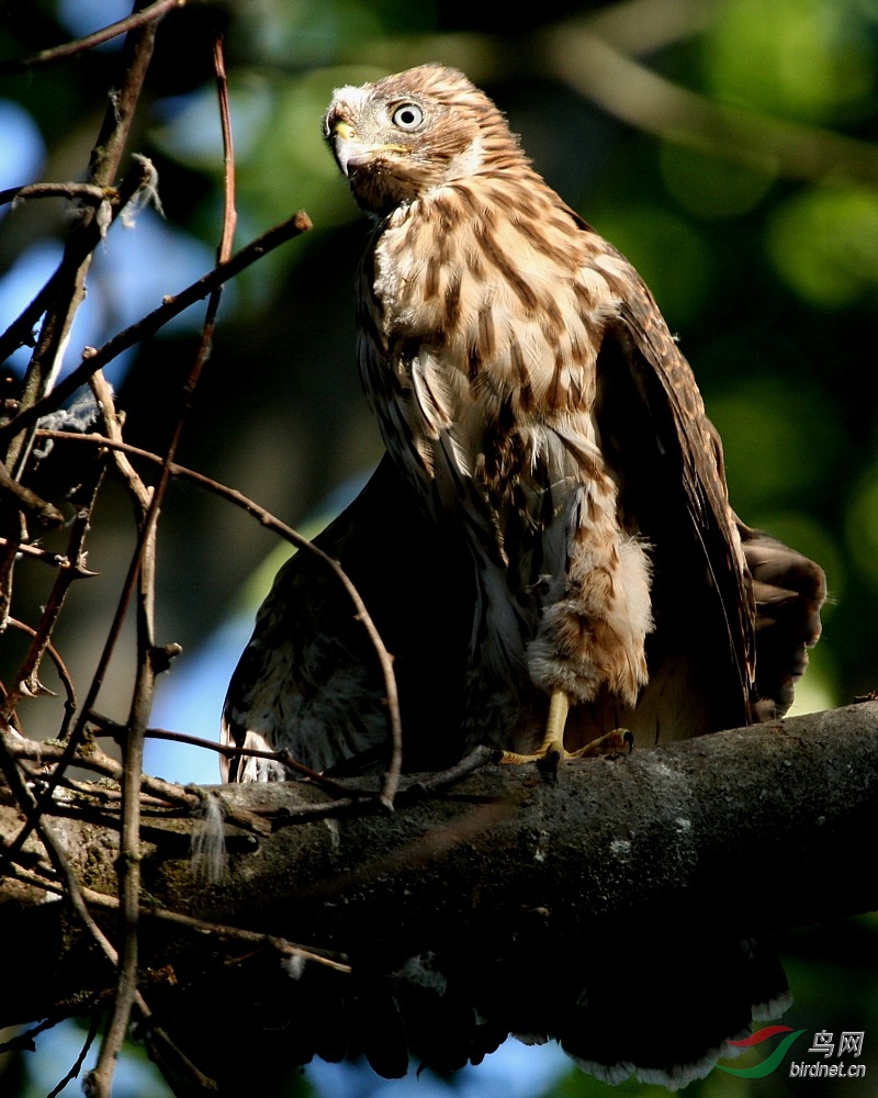 QEPark050808 289t.jpg