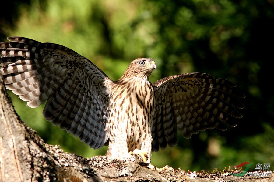 ���@��������