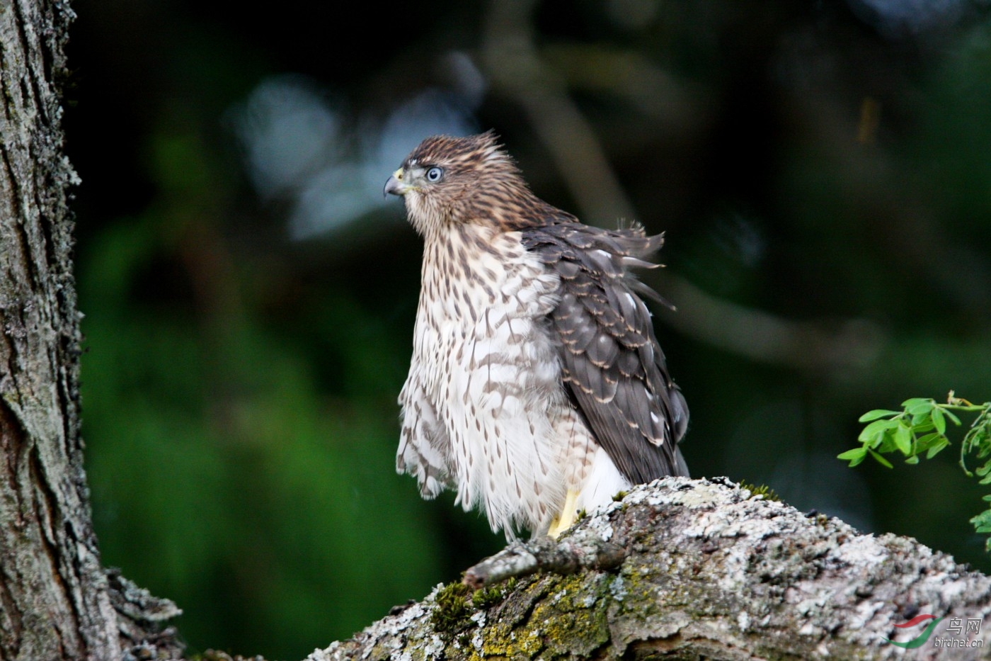 QEP1708080808 356.jpg