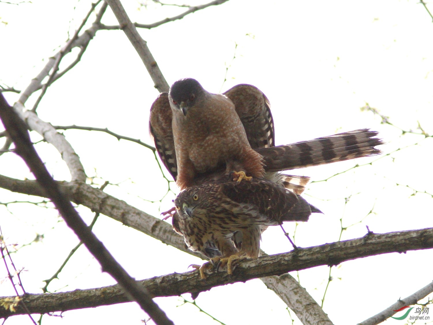 �a��һ���B���r���ļ���