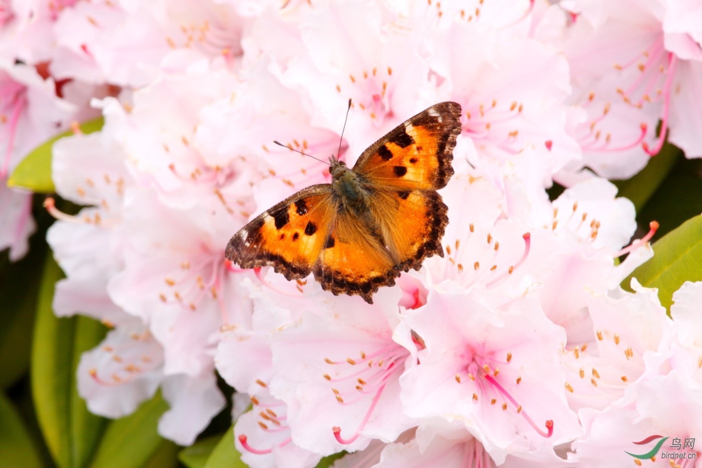 QEPark230408 125.jpg