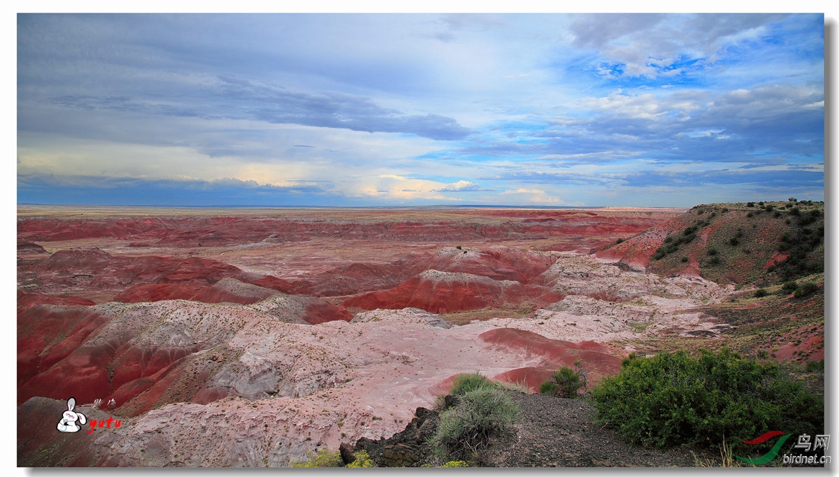 美国石化林公园彩色沙漠