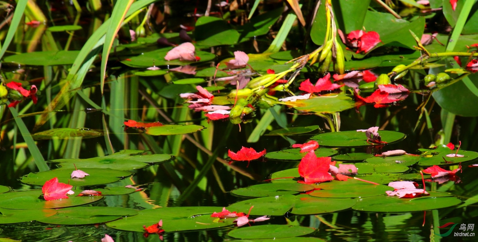 192A3876_1.JPG
