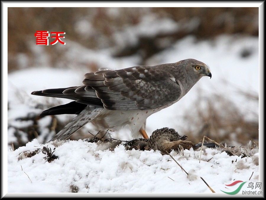 BBay091207 495t_1.jpg