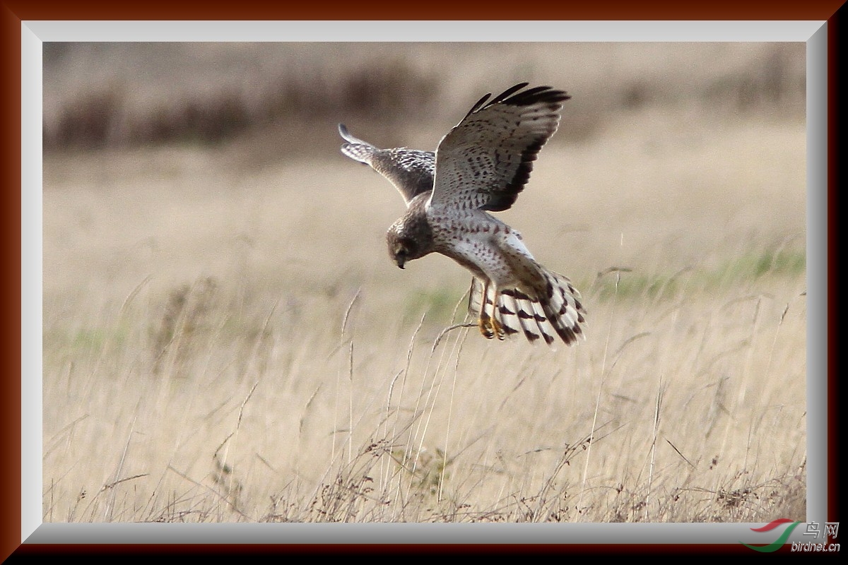 BBay111109 176t_1.JPG